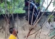 Viral !! Motor Gagal di Curi Nyangkut di Tembok Viral !! Motor Gagal di Curi Nyangkut di Tembok