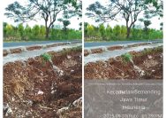 Seperti Proyek Siluman, Proyek Pelebaran Jalan Rengel - Bhektiharjo Tanpa Papan Informasi 