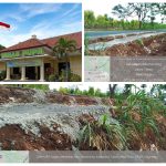 Tender Jalan Rabat Beton Tuban HPS Sama dengan Pagu, Diskon 1 Persen, Indikasi Bid Rigging dan Celah Penyimpangan Kian Menguat, Kadin PUPR Bungkam Tender Jalan Rabat Beton Tuban HPS Sama dengan Pagu, Diskon 1 Persen, Indikasi Bid Rigging dan Celah Penyimpangan Kian Menguat, Kadin PUPR Bungkam