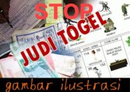 Meresahkan, Kapolres Pelalawan Diminta Tangkap Bos dan Korlap Pelaku Judi Togel