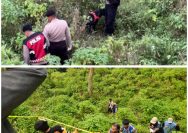 Berkat Anjing Unit K-9 Polda Jatim Indentitas Korban Mutilasi Pacet Berhasil Terungkap