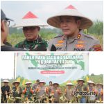 Polres Blitar Gelar Panen Raya Jagung Serentak Kuartal III : Bukti Sinergi Lintas Sektor untuk Ketahanan Pangan