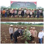 Polresta Banyuwangi Dorong Penguatan Ketahanan Pangan Lewat Penanaman Jagung Kuartal IV 2025