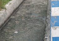 Rakyat Bulutengger Jadi Korban Pembuangan Limbah SPPG, DLH dan APH Lamongan Jangan Tutup Mata