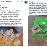 Kualitas MBG di Sekolah Temayang Busuk dan Terdapat Ulat, Pengelola Layak Ditindak Tegas