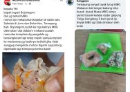 Kualitas MBG di Sekolah Temayang Busuk dan Terdapat Ulat, Pengelola Layak Ditindak Tegas