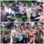 Polres Jombang Bongkar Budidaya Ganja di Rumah Kontrakan,110 Batang Disita