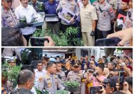 Polres Jombang Bongkar Budidaya Ganja di Rumah Kontrakan,110 Batang Disita