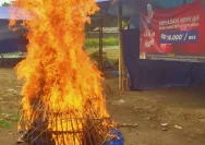 ‎Arena Sabung Ayam di Garit Banyuwangi yang Resahkan Masyarakat di Grebek Polisi