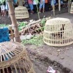 ‎Sarang Judi Diduga Milik Bandar Sitorus dan Muklis Merdeka di Tempeh Lumajang, Polsek Setempat di Diduga Lakukan Pembiaran