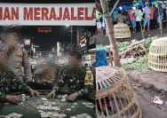 Kapolres Lumajang Bungkam dan Polda Jatim Melempem, Sitorus Oknum TNI bersama Muklis Bandar Judi di Tempeh Kian Merajalela