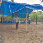 ‎Bak Drama Sinetron, Tempat Perjudian di Dusun Sumbertrimo Melenggang dari Jerat Hukum Polres Malang