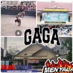 Aparat Penegak Hukum Harus Tindak Tegas. Mengatasi Aktifitas Perjudian Sabung Ayam Di Lumajang Aparat Penegak Hukum Harus Tindak Tegas. Mengatasi Aktifitas Perjudian Sabung Ayam Di Lumajang