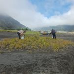 Gerakan Indonesia Asri, Polres Probolinggo Bersih - bersih Lokasi Wisata Bromo