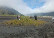 Gerakan Indonesia Asri, Polres Probolinggo Bersih - bersih Lokasi Wisata Bromo