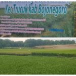 ‎CV LISA Bergerak Dibidang Jasa Pengolahan Pertanian Bantu Petani Dapatkan Lahan Produktif