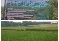 ‎CV LISA Bergerak Dibidang Jasa Pengolahan Pertanian Bantu Petani Dapatkan Lahan Produktif