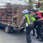 Respon Cepat Tim Urai Polres Blitar Bantu Kendaraan Mogok, Arus Lalu Lintas Tetap Lancar