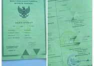 Berita Dugaan Sengketa Waris di Randugong Mencuat, Pemdes Tegaskan Status Tanah Sah