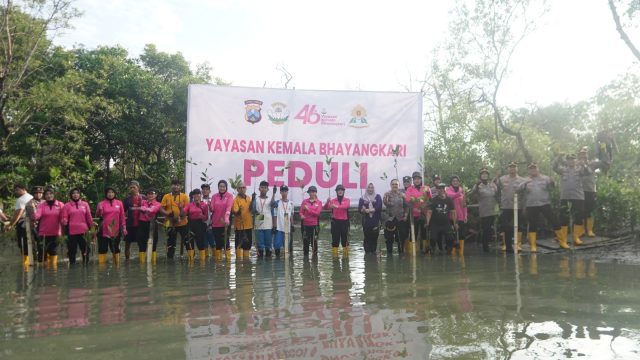 Sambut HUT ke-46, YKB Tanjung Perak Tanam Mangrove Pulihkan Lahan Kritis