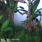 Warga Selogabus di Gegerkan Asap Tebal Berbau Gas di Pagi Hari Dari Gudang PT NESR Warga Selogabus di Gegerkan Asap Tebal Berbau Gas di Pagi Hari Dari Gudang PT NESR 