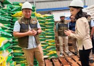 Anggota DPR RI, Ruby Chairani Pantau Stok Beras 32.500 Ton di Bulog Lampung Selatan, Pastikan Ketahanan Pangan