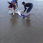 Warga Kalianda Digegerkan Penemuan Sesosok Mayat (Anonim) di Bibir Pantai Antara Kedu Warna dan Senaya Beach Warga Kalianda Digegerkan Penemuan Sesosok Mayat (Anonim) di Bibir Pantai Antara Kedu Warna dan Senaya Beach