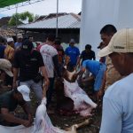 Semangat Gotong Royong Mewarnai Penyembelihan Hewan Kurban di Masjid Nurul Amal Kalianda