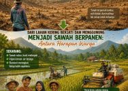 Keluh Kesah Berubah Senyum: Nasib Warga Berubah Seiring Bentuk Tanahnya