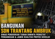 Bangunan SDN Trantang Kerek Ambruk, Dinas Pendidikan Tuban Diminta Perketat Pengawasan & Jamin Kualitas Proyek Sekolah