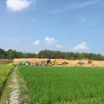 Jasa Pengolahan Lahan Pertanian CV LISA Sukses Ubah Lahan Kering Jadi Produktif di Trucuk, Bojonegoro Jasa Pengolahan Lahan Pertanian CV LISA Sukses Ubah Lahan Kering Jadi Produktif di Trucuk, Bojonegoro