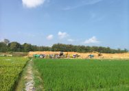 ‎Jasa Pengolahan Lahan Pertanian CV LISA Sukses Ubah Lahan Kering Jadi Produktif di Trucuk, Bojonegoro