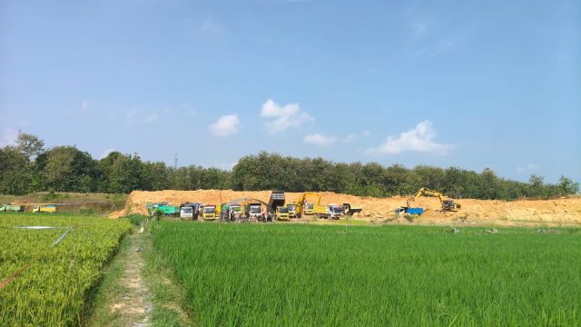 ‎Jasa Pengolahan Lahan Pertanian CV LISA Sukses Ubah Lahan Kering Jadi Produktif di Trucuk, Bojonegoro