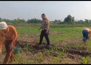 Polisi Bangil Aktif Bersama Kelompok Tani Gempeng Monitoring Lahan Jagung