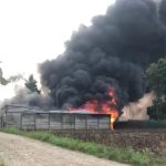 Kebakaran Hebat Melanda Gudang CPO di Pesawaran, Damkarmat Lamsel Ikut Serta Membantu Padamkan Api Kebakaran Hebat Melanda Gudang CPO di Pesawaran, Damkarmat Lamsel Ikut Serta Membantu Padamkan Api