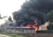 Kebakaran Hebat Melanda Gudang CPO di Pesawaran, Damkarmat Lamsel Ikut Serta Membantu Padamkan Api