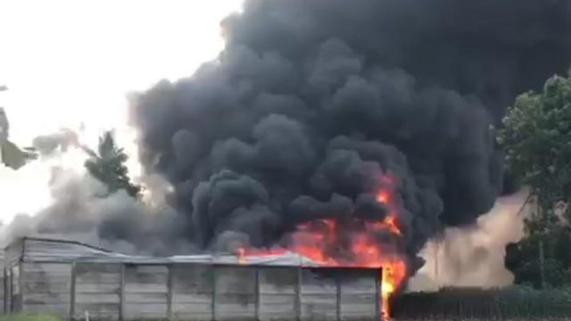 Kebakaran Hebat Melanda Gudang CPO di Pesawaran, Damkarmat Lamsel Ikut Serta Membantu Padamkan Api