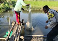 Bhabinkamtibmas Kelurahan Jeruk Dampingi Kelompok Tani, Dukung Optimalisasi Lahan dan Lomba Ketahanan Pangan