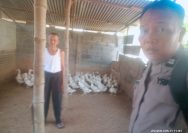 Bhabinkamtibmas Babat Jerawat Dukung Ketahanan Pangan Melalui Pendampingan Peternak Bebek