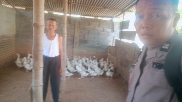 Bhabinkamtibmas Babat Jerawat Dukung Ketahanan Pangan Melalui Pendampingan Peternak Bebek