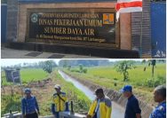 Pemkab Lamongan Perkuat Irigasi, Dongkrak Produktivitas Padi & Ketahanan Pangan