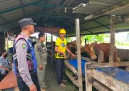 Bhabinkamtibmas Polsek Pakal Dukung Ketahanan Pangan Dengan Sambangi Peternak Sapi di Kelurahan Pakal