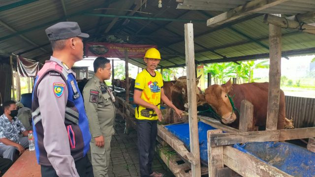 Bhabinkamtibmas Polsek Pakal Dukung Ketahanan Pangan Dengan Sambangi Peternak Sapi di Kelurahan Pakal