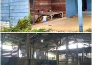 Program Ketahanan Pangan Desa Glatik Disorot, Warga Pertanyakan Keberadaan Sapi Penggemukan