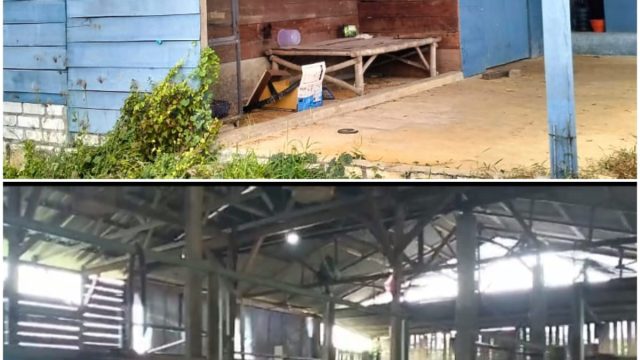 Program Ketahanan Pangan Desa Glatik Disorot, Warga Pertanyakan Keberadaan Sapi Penggemukan