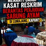 Menanti Janji Kasat Reskrim Berantas Perjudian Sabung Ayam di Lumajang, Kapan? Menanti Janji Kasat Reskrim Berantas Perjudian Sabung Ayam di Lumajang, Kapan?