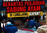 ‎Menanti Janji Kasat Reskrim Berantas Perjudian Sabung Ayam di Lumajang, Kapan?