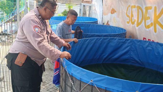 Bhabinkamtibmas Benowo Dukung Ketahanan Pangan dengan Sambangi Kelompok Tani Budidaya Lele