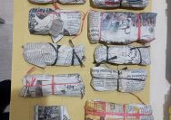 SatResnarkoba Polrestabes Surabaya Amankan Pria Kurir Ganja dan Sabu