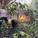 Polres Trenggalek Terjunkan Personel Jajaran Padamkan Api di Gunung Orak Arik Polres Trenggalek Terjunkan Personel Jajaran Padamkan Api di Gunung Orak Arik